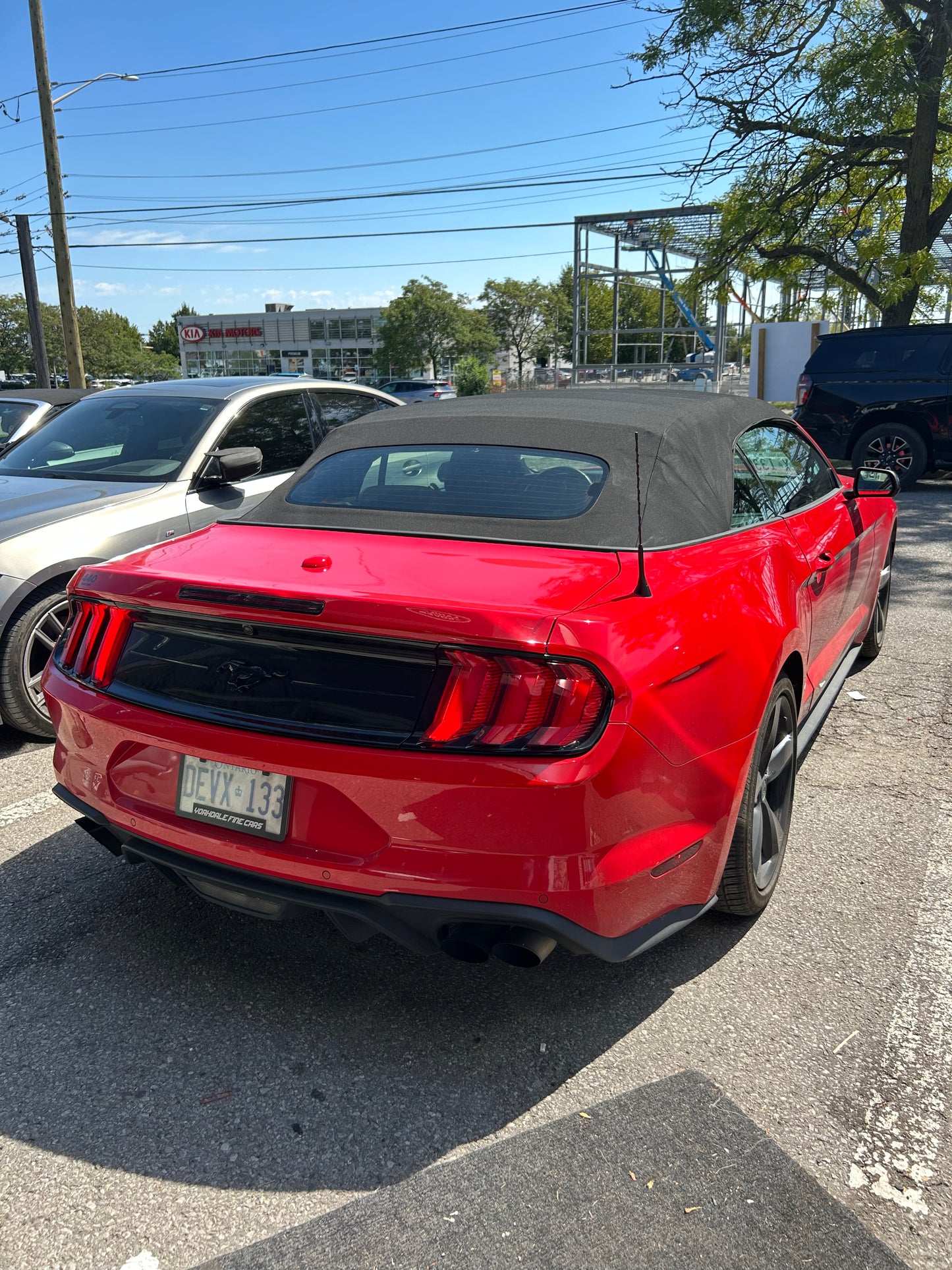 Mustang Convertible