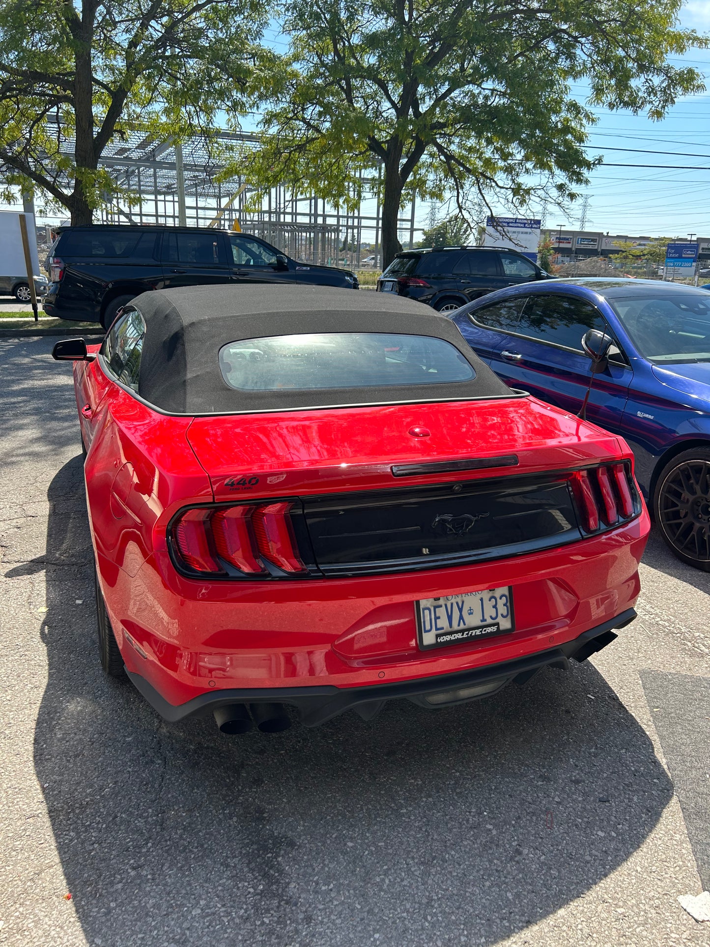 Mustang Convertible